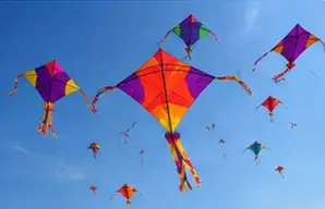 makar sankranti